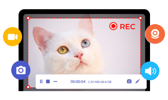 Screen Recorder