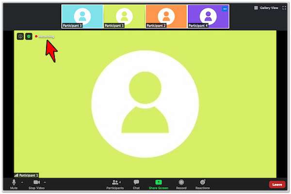 Zoom Detect Screen Recording