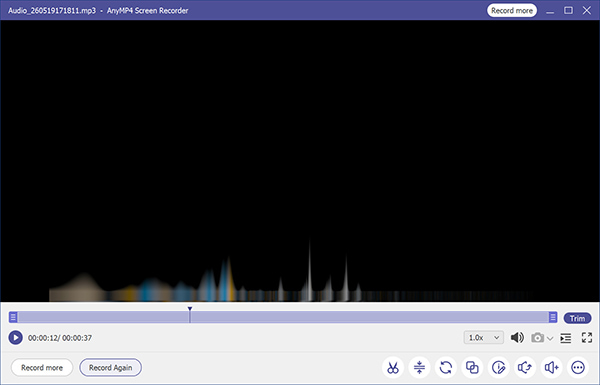 Record Save Audio In Anymp4