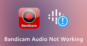 Bandicam Audio File fungerar inte