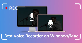Best Voice Recorder on Windows Mac