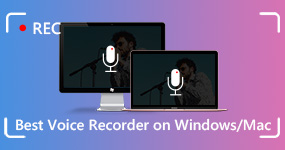 Bästa röstinspelaren på Windows Mac