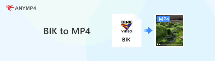 BIK in MP4