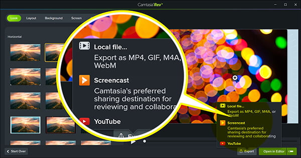 Camtasia Export Options