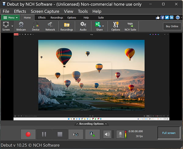 Debut Screen Recorder Interface