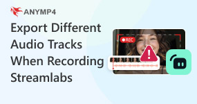 Export Different Audio Tracks From Streamlabs Recording