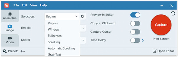 Snagit Screenshot Option