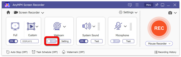Toggle on Webcam Recorder in AnyMP4