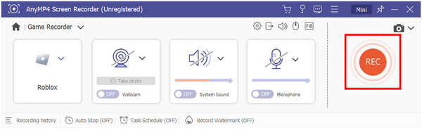 AnyMP4 Screen Recorder Rec-knapp