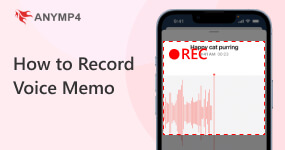 How to Record Voice Memo