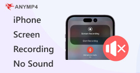 iPhone Screen Recording No Sound