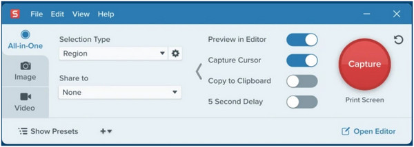 Snagit Interface