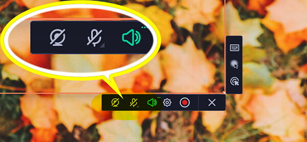 Configure Recording Settings in Movavi Screen Recorder