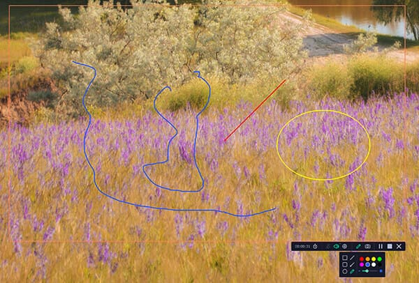 Drawing While Recording in Movavi Screen Recorder