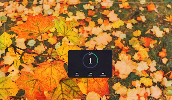 Start Recording in Movavi Screen Recorder
