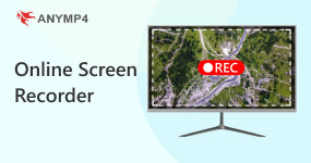 Online Screen Recorders