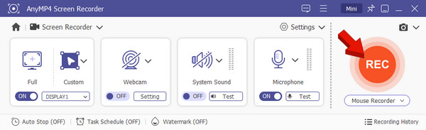 Start Screen Recording in AnyMP4 Screen Recorder