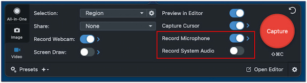 Enable Microphone And System Audio