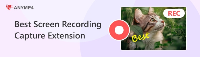 Screen Recording Capture Extension