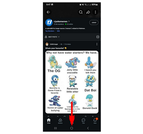 Gemini Hold Home Button