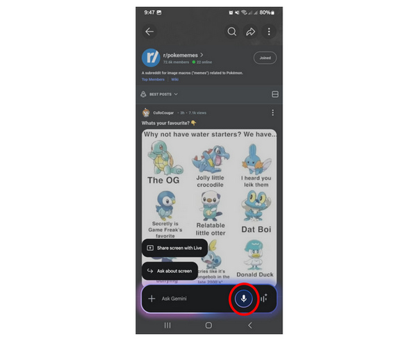 Gemini Voice Command