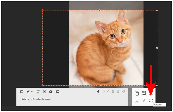 Anymp4 Screen Recorder Full Screen
