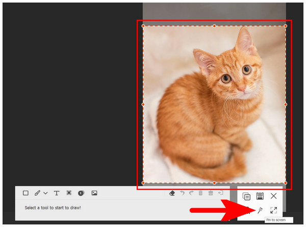 Anymp4 Screen Recorder Pin to Screen