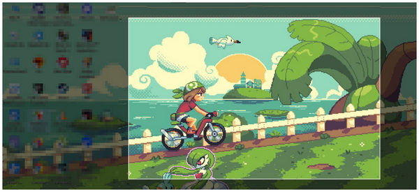 Custom Screen Select Screenshot Section