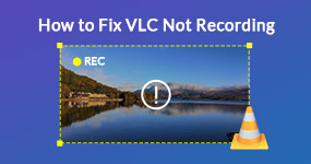 Fix VLC Not Recording