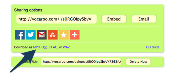 Vocaroo Output Format