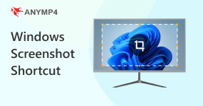 Windows Screenshot Shortcut