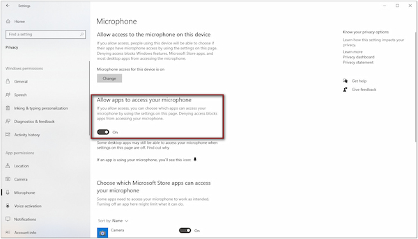 Allow Microphone Access