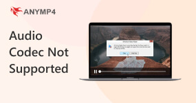 Audio Codec Not Supported