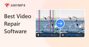 En İyi Video Onarım Yazılımı