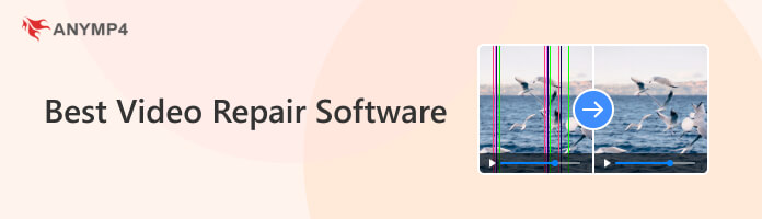 Il miglior software di riparazione video