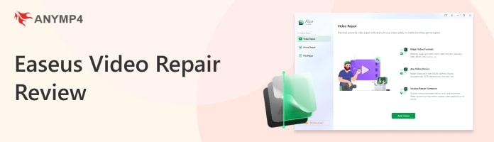 Recenze Easeus Video Repair