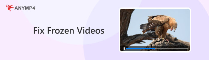 Javítsa ki a lefagyott videókat