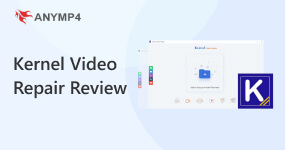 Kernel Video Repair Review
