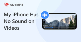 My iPhone Has no Sound on Videos