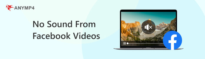 No Sound from Facebook Videos