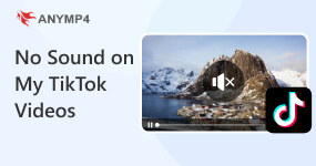 No Sound on My TikTok Videos