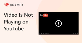 Video is Not Playing on YouTube