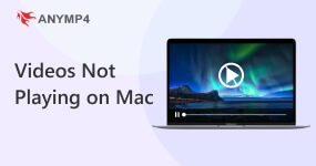 Videoer afspilles ikke på Mac