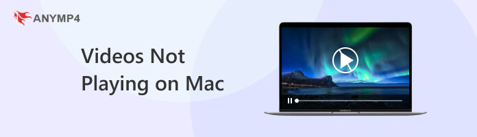 Play Videos Not Playing on Mac