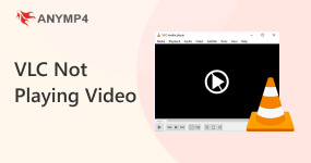 VLC não reproduz vídeo