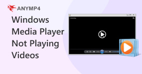 Windows Media Player não reproduz vídeos