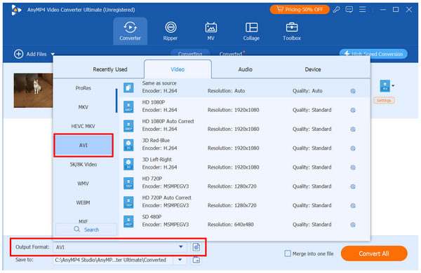 Anymp4 Video Converter Ultimate Output Format