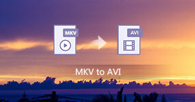 MKV till AVI