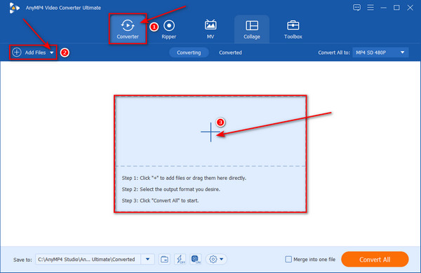 Import AnyMP4 Converter