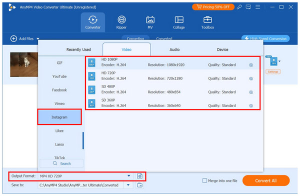 Anymp4 Video Converter Ultimate Output Format